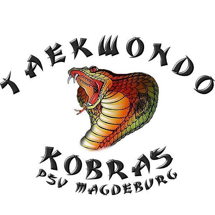 (c) Taekwondo-kobras-magdeburg.de